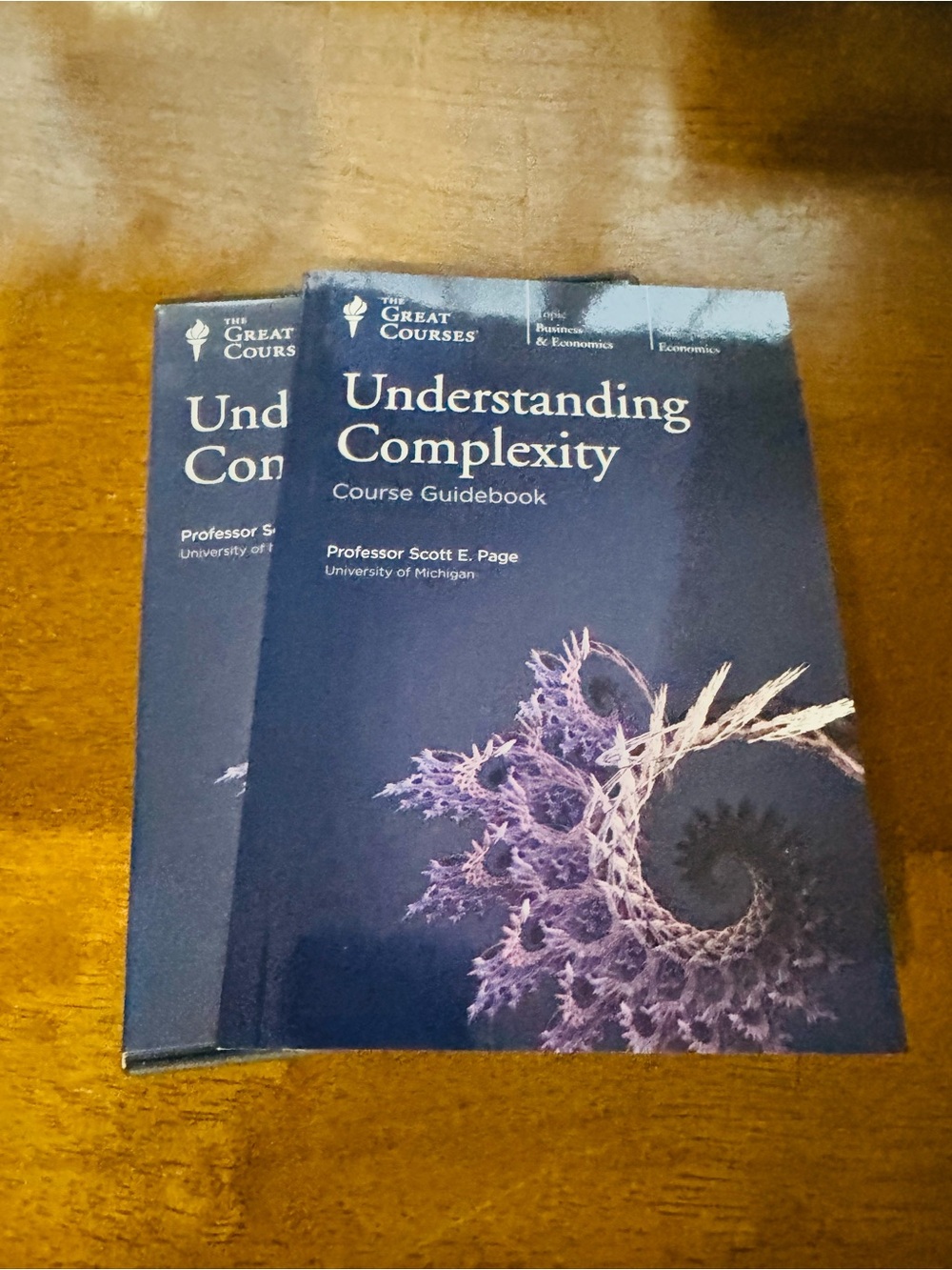 The Great Courses - Understanding Complexity DVD & Course Guidebook - Business